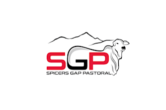 design a rustic and professional logo for your beef farming or cattle business
