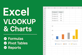 do excel vlookup, pivot tables and charts