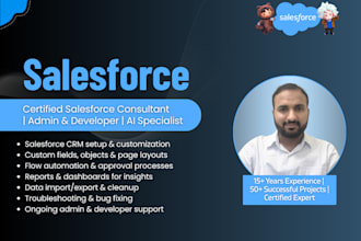 be your salesforce developer, admin, and consultant