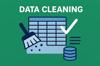 do professional data cleaning in excel and CSV