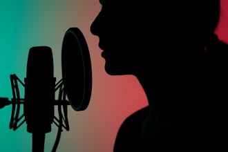 record voice over for stories, ads or audiobooks in hindi and english