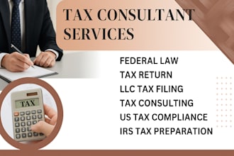 prepare and file federal and state amended tax returns