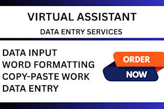 do data entry, copy paste, data input, word formatting