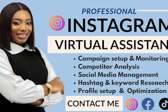 instagram virtual asistant ,instagram manager and social media manager