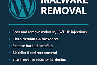 clean, secure, and restore your site professionally