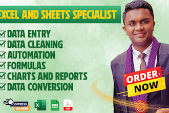 be your excel and google sheets specialist for data management and formatting