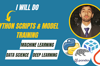 develop python scripts, data preprocessing, and ai machine learning project