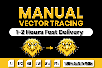 do manually vector tracing and redraw