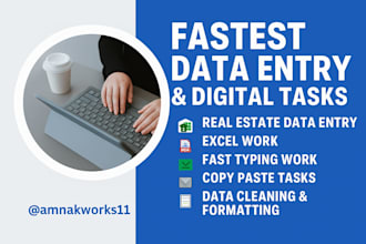 do real estate data entry, excel data entry, typing, and  copy paste job