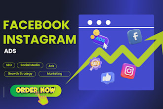 create and set up a facebook meta ads campaign for you