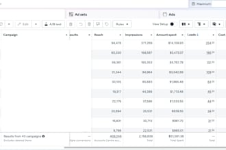 run targeted meta ads to generate leads