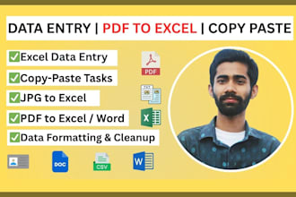 do PDF to excel, word, data entry and copy paste
