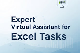 provide professional virtual assistant services for microsoft excel