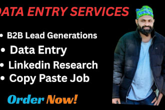 provide data entry,b2b lead generation, linkedin research