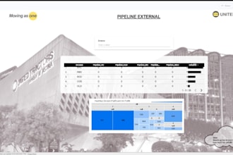design and build a dynamic data visualization dashboard