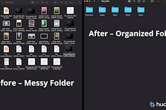 create a python file organizer to sort and clean your files