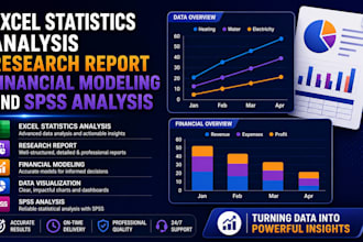do excel statistics analysis research report financal modeling and spss analysis
