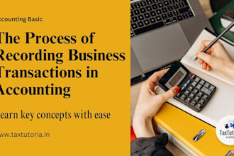 do professional bookkeeping and financial accounting