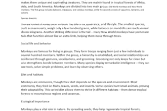 write SEO articles and translate texts