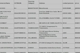 excel data entry, sorting, and formulas for you