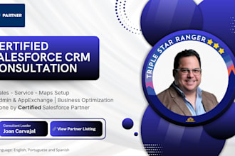 provide expert salesforce CRM consulting by the hour
