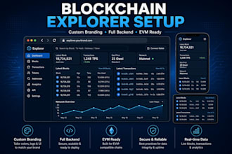 setup a custom evm blockchain explorer
