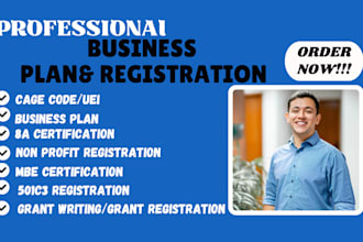 write professional business plans, immigration business plans, and financial