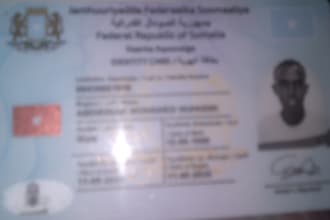 professional somali to english translator