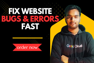 fix website issues, website bug and website responsiveness