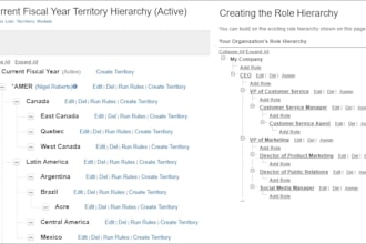 set up and optimize salesforce enterprise territory management rules