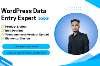 do professional wordpress data entry