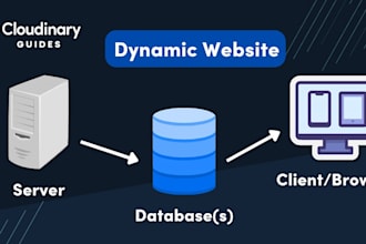 develop a dynamic website for you