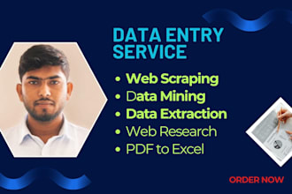 do web scraping, data mining, and data extraction