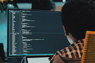 do programming in cs and java