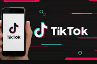 grow your tiktok fast with targeted video promotion and organic followers