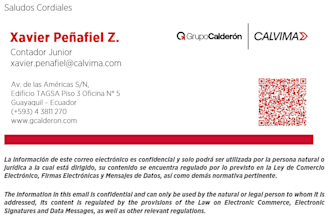 elaboración de modelos para invitaciones, folletos, paper