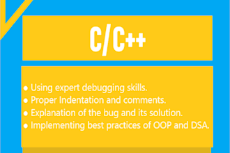 provide debugging for your c and c plus plus programs