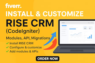 install and customize rise CRM modules API migrations