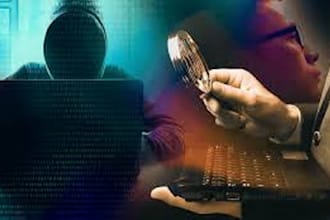 perform forensic accounting and fraud investigation