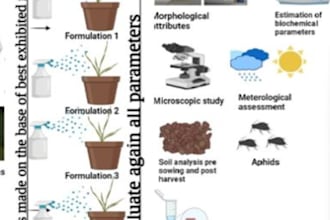 create scientific graphical abstracts for journals