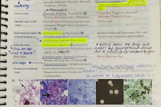 be your usmle biochemistry and microbiology teacher