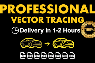 do professional vector tracing or raster to vector conversion