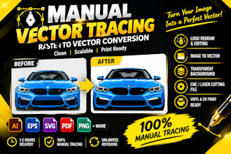 do professional vector tracing or raster to vector conversion