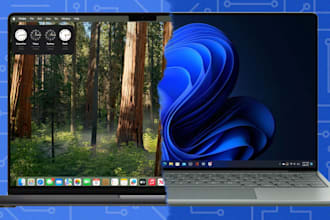 provide expert remote IT support and troubleshooting for windows and mac