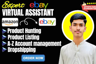 be your expert ebay dropshipping product hunting as VA