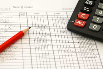 manage your accounts and general ledgers