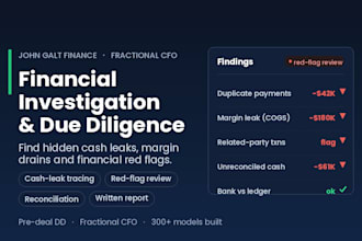 do forensic finance and fraud investigation