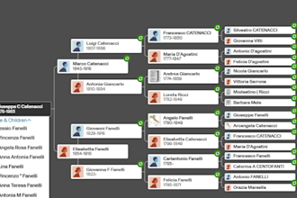 build your comprehensive family tree and trace your lineage