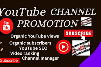 promote your youtube channel for organic subscriber, views