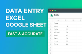 excel data entry, google sheets and data cleaning